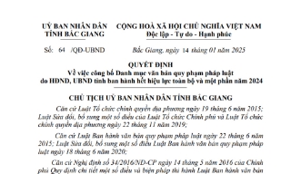 Danh mục văn bản quy phạm pháp luật do HĐND, UBND tỉnh ban hành hết hiệu lực toàn bộ và một phần 